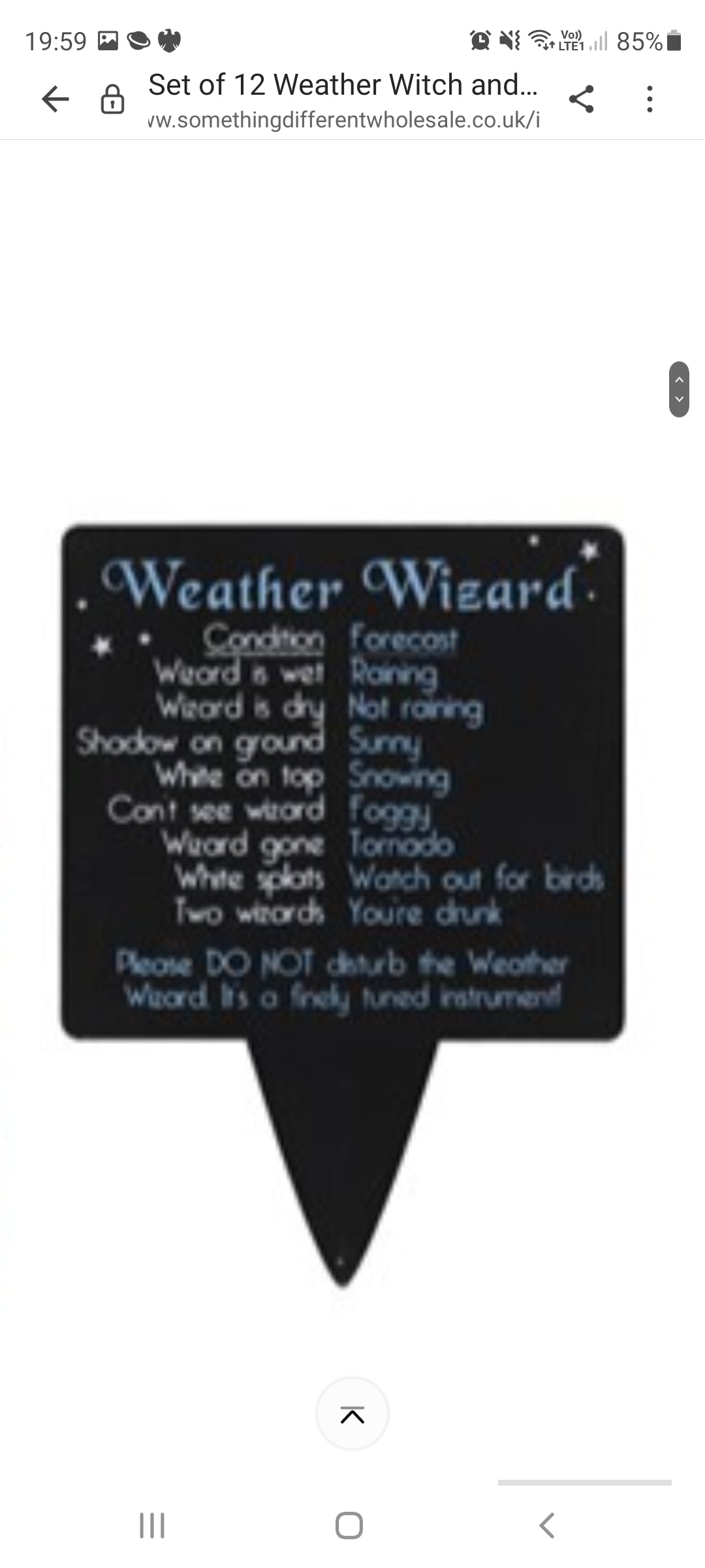 Terracotta Weather Witch/Wizard