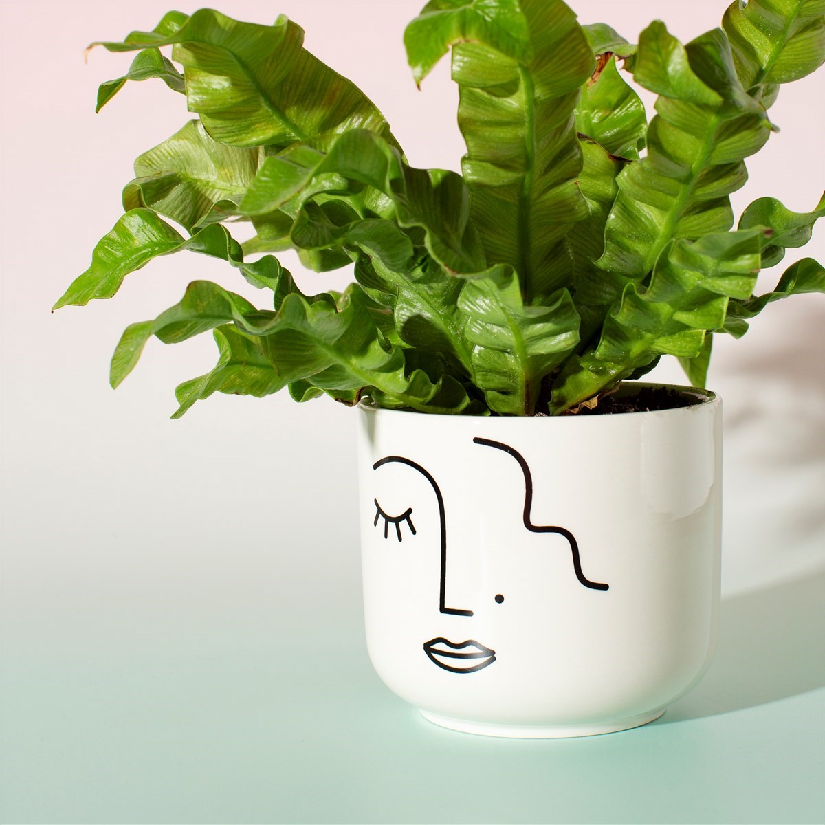 Sass & Belle Abstract Face Plant Pot
