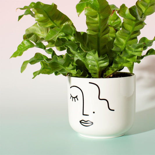 Sass & Belle Abstract Face Plant Pot