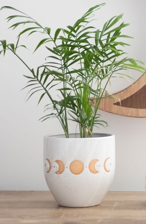 Moon Phase Plant Pot