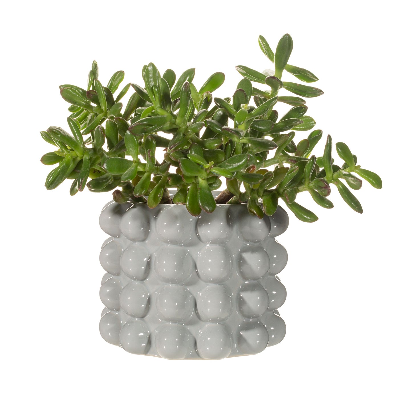 Sass & Belle Grey Bobble Planter