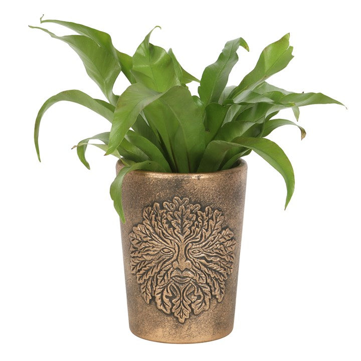 Green Man Bronze Terracotta Plant Pot