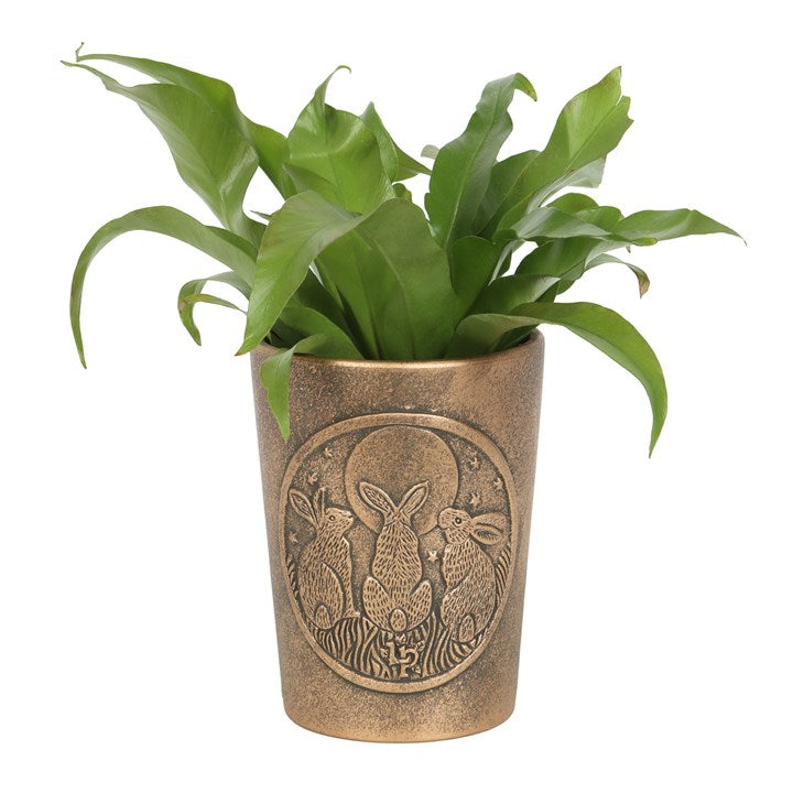 Moon Shadows Bronze Terracotta Plant Pot