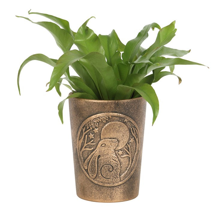 Moon Gazing Hare Bronze Terracotta Plant Pot