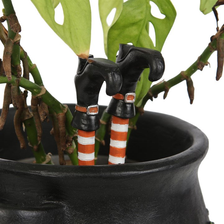 Witch Leg Plant Pot Ornaments