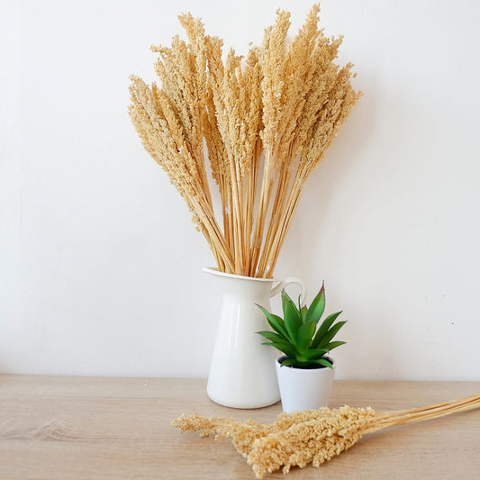 Cantal Grass Bunch Natural