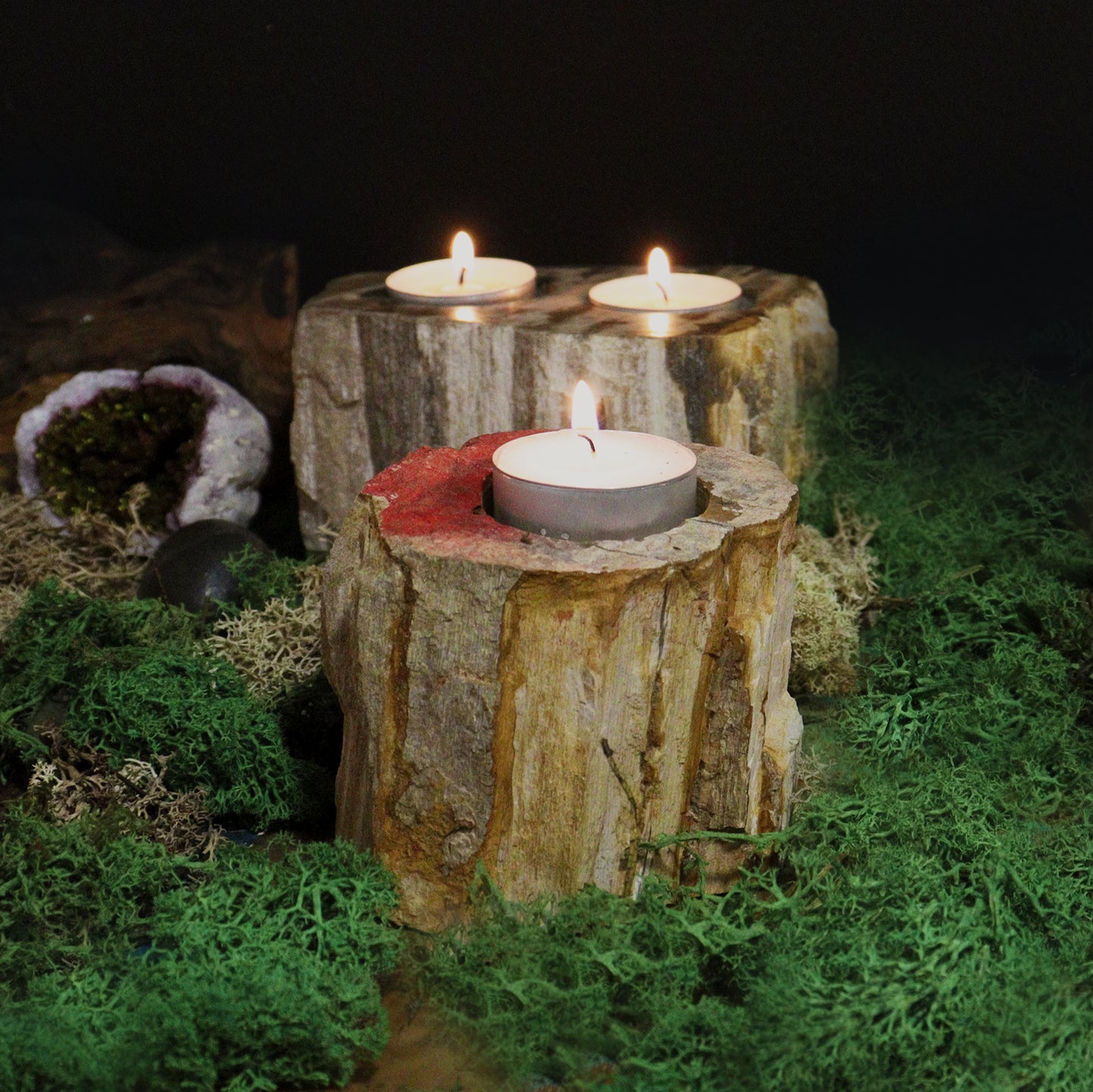 Petrified Wood Candle Holder Double