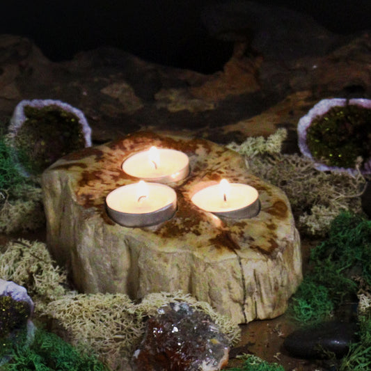 Petrified Wood Candle Holder Triple