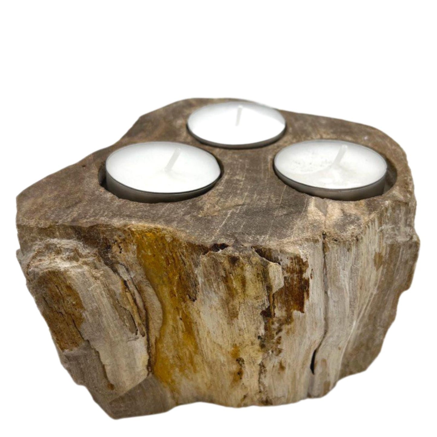 Petrified Wood Candle Holder Triple