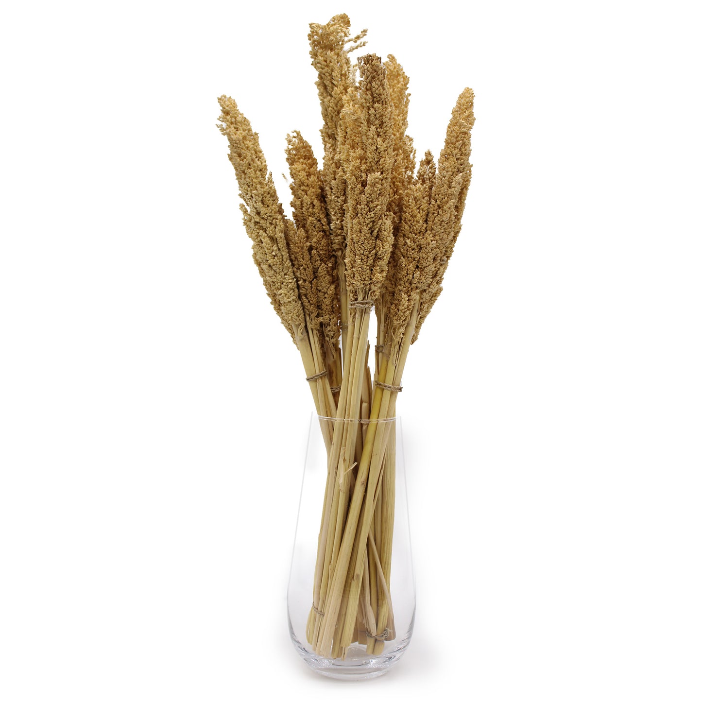 Cantal Grass Bunch Natural