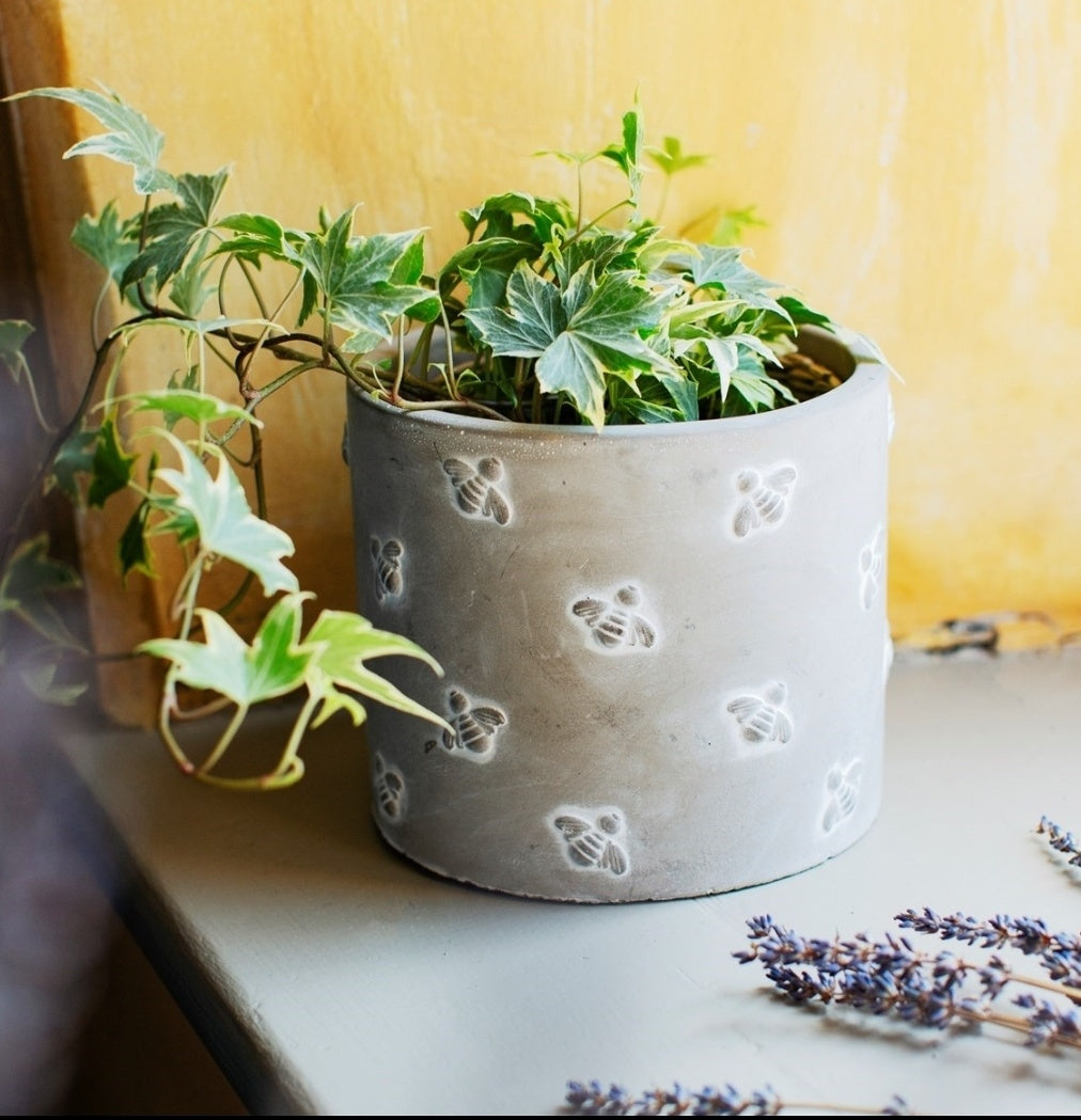 Cement Bee Planter