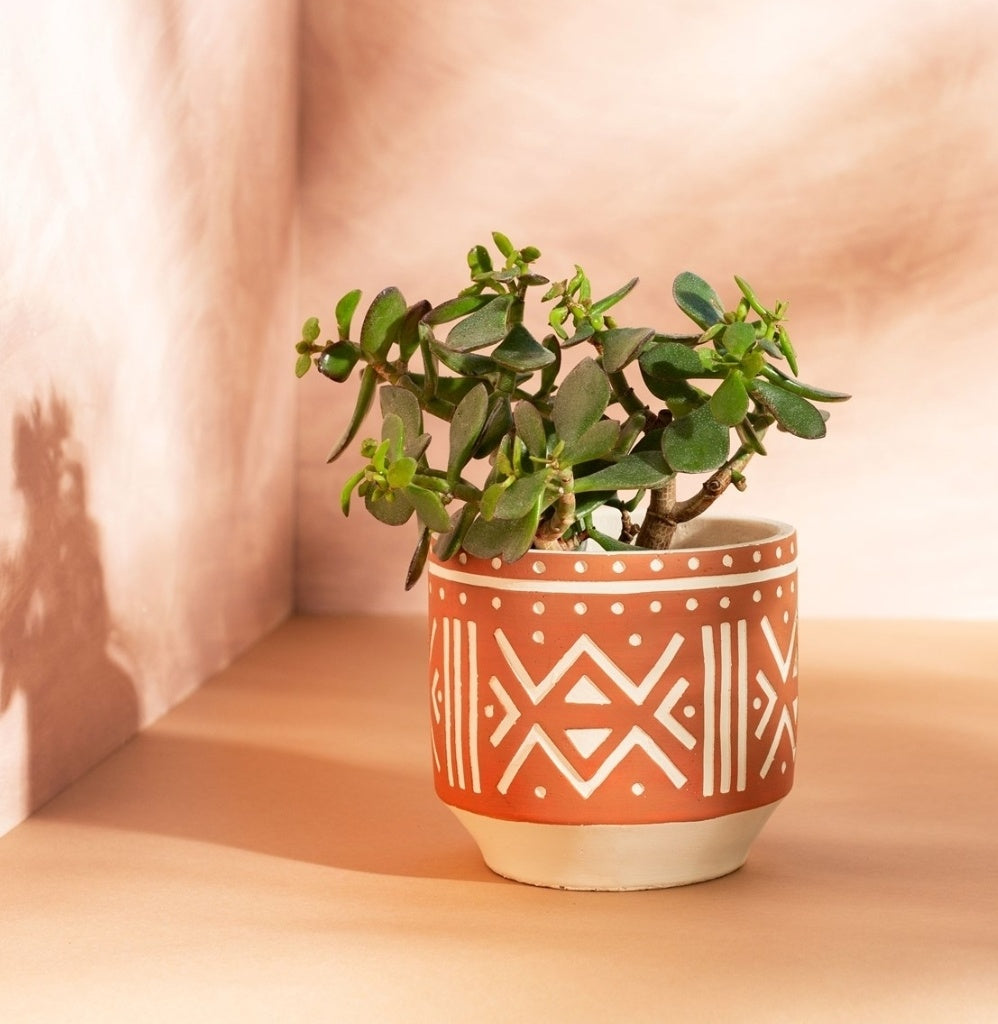 Lea Terracotta Planter