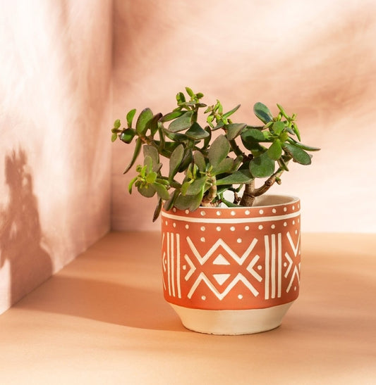 Lea Terracotta Planter