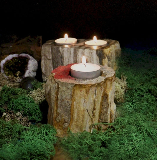 Petrified Wood Candle Holder Single Tall