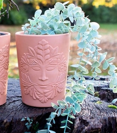 Green Goddess Terracotta Pot