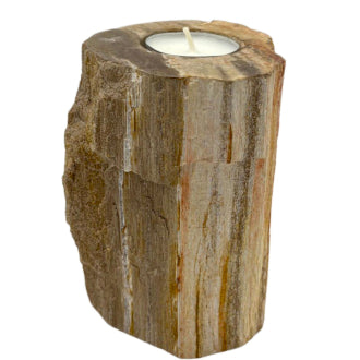 Petrified Wood Candle Holder Single Tall