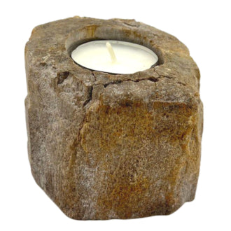 Petrified Wood Candle Holder Low Single