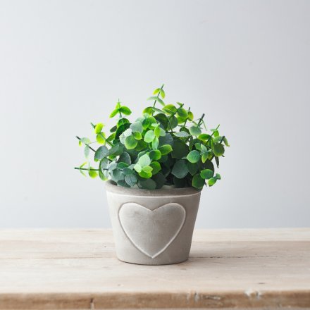 Cement Plant Pot With Heart Outline