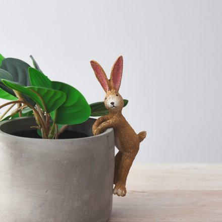 Rabbit Pot Pal