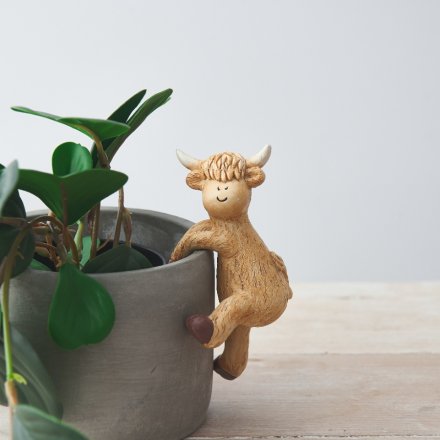 Highland Cow Plant Pot Pal