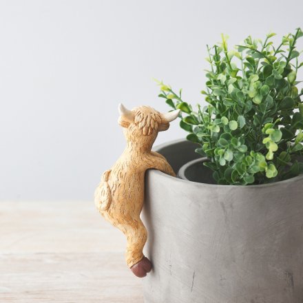Highland Cow Plant Pot Pal