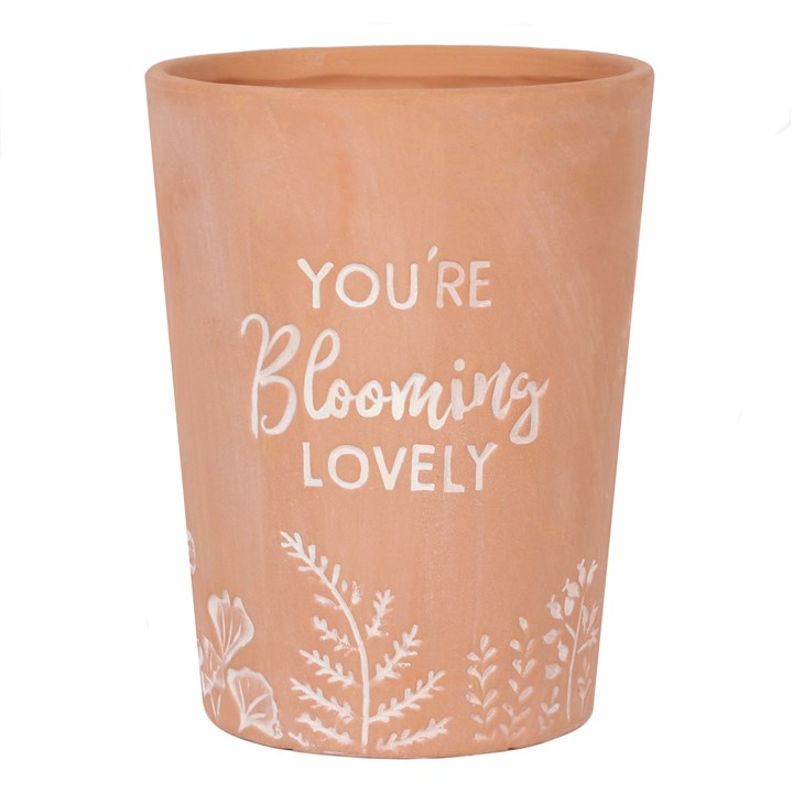 Blooming Lovely Terracotta Plant Pot