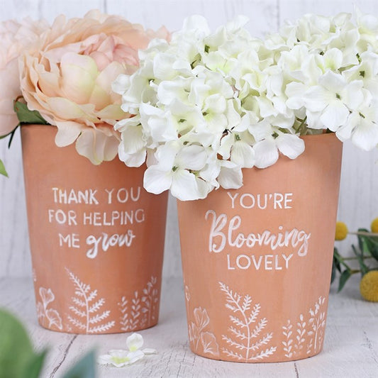 Blooming Lovely Terracotta Plant Pot