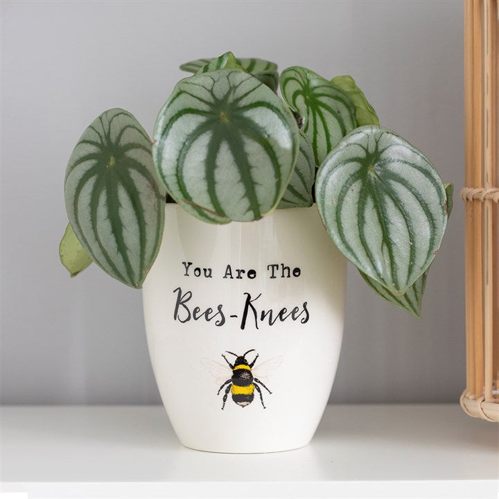 Bee Design Plant Pots