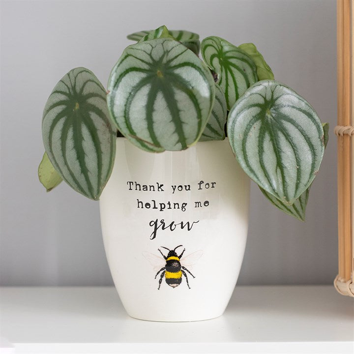 Bee Design Plant Pots