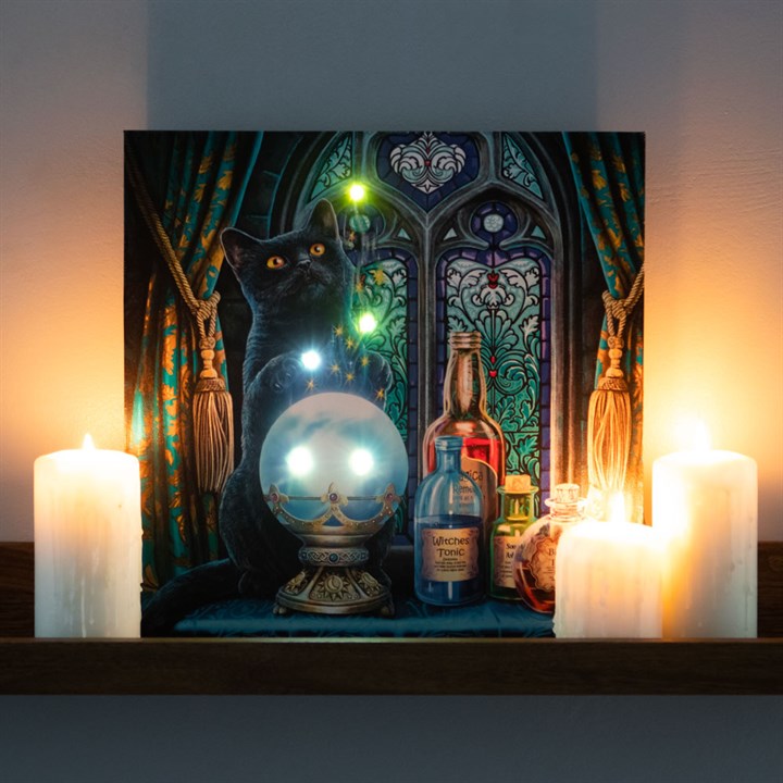 Witches Apprentice Light Up Canvas