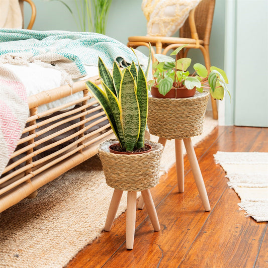 Basket Planter On Legs