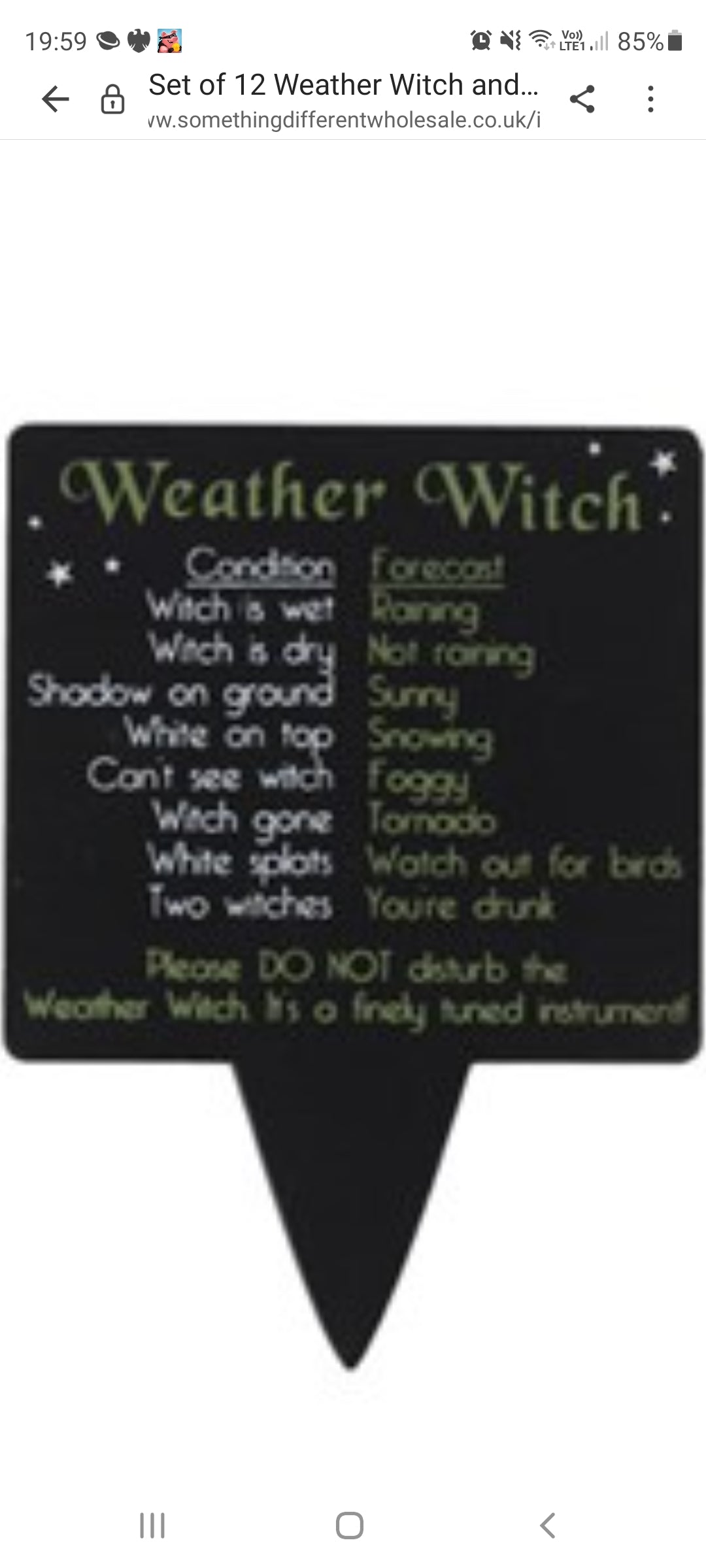 Terracotta Weather Witch/Wizard