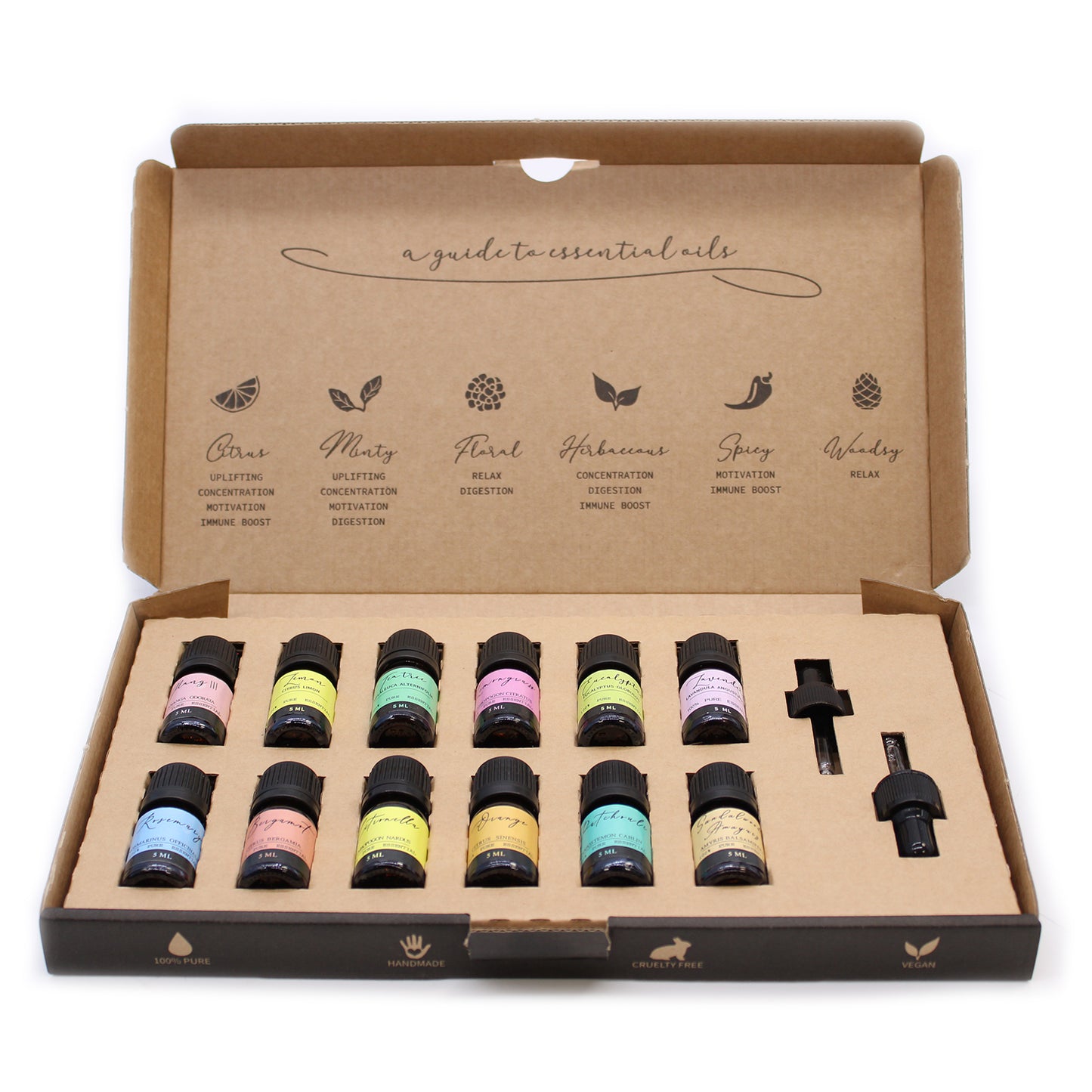 Aromatherapy Starter Kit - The Top 12